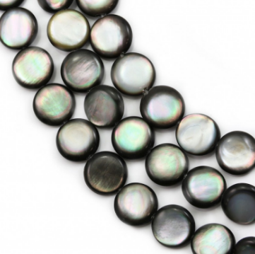 Grey Shell