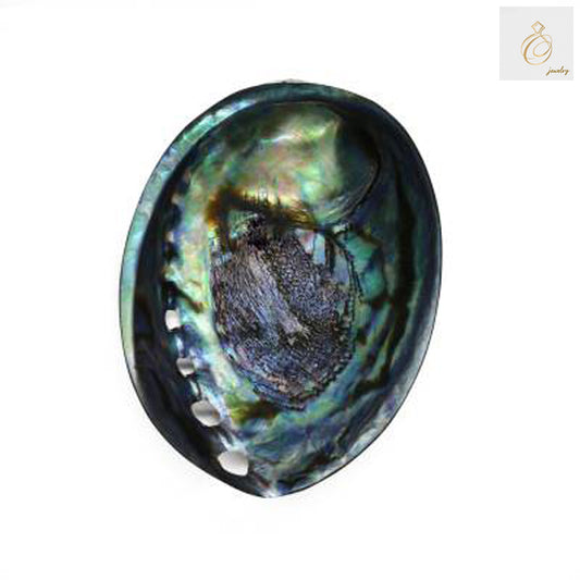 Close-up view of mother of pearl abalone shell displaying natural patterns and lustrous finish - ideal for craft projects