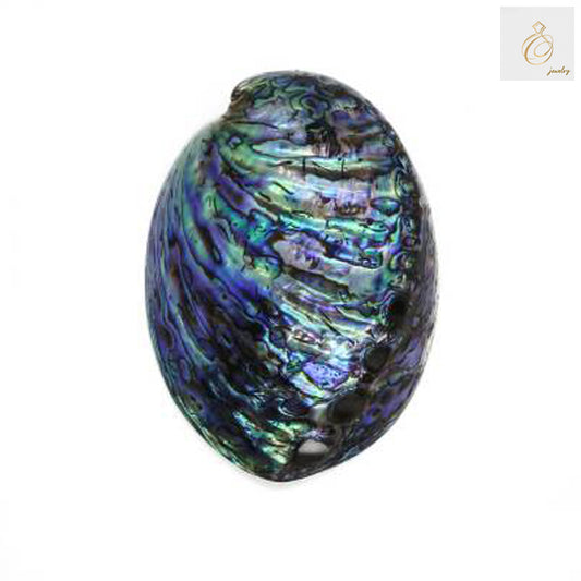Natural mother of pearl abalone shell 120x88mm showing iridescent surface with rainbow colors - premium quality for jewelry making