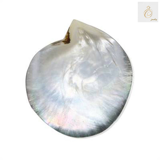 Natural grey mother of pearl shell 120x108mm - premium jewelry making material showing lustrous surface texture