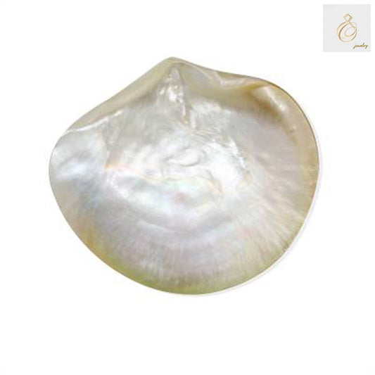 Natural mother of pearl yellow shell 131x116mm - premium quality jewelry making supply